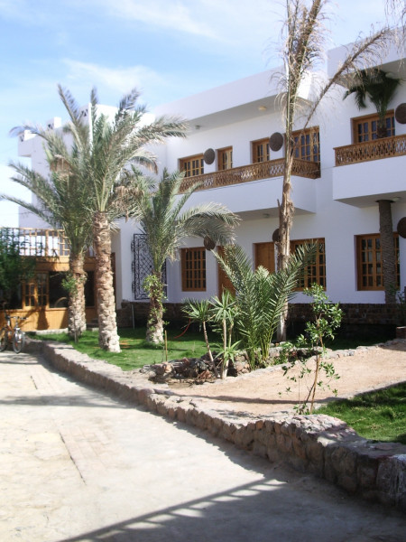 Hotel Star Of Dahab (Dahab  )