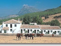 Hotel El Horcajo (Ronda)