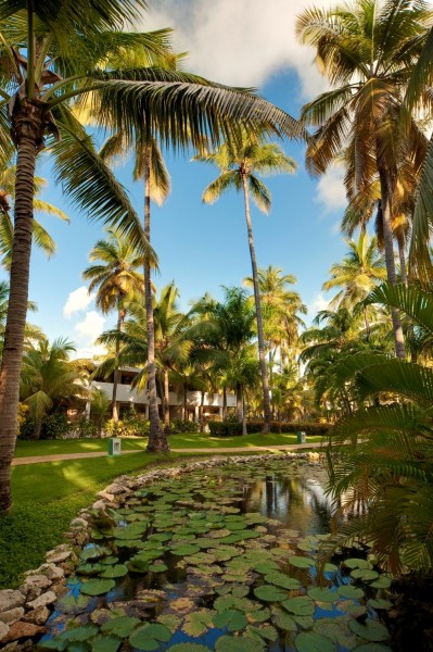 Hotel Meliá Caribe Tropical (Salvaleón de Higüey)