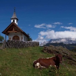 Hotel Bauernhof FerienparadiesTaxen (Sankt Veit im Pongau)